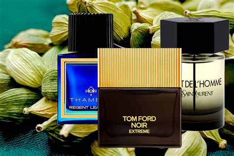 best cardamom perfume for men.